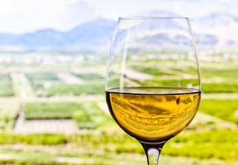 glass with white wine