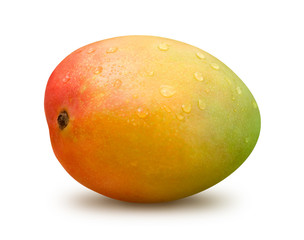 Mango with Water Drops