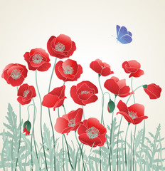 Field of Red Poppies with Blue Butterfly