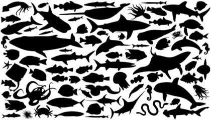 Obraz premium sea animals silhouettes