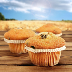 muffins