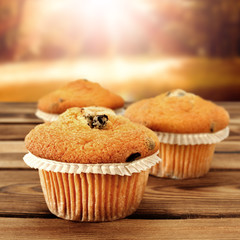 muffins