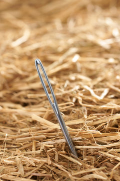 Finding A Needle In A Haystack Concept