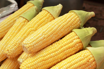 Sweet corn in the market