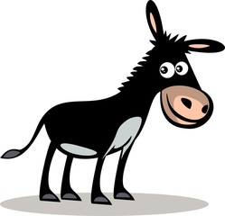 Happy donkey