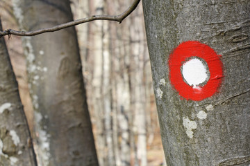 Hiking post pointing