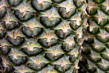 Fresh pineapple closeup