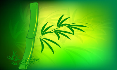 bamboo vector background