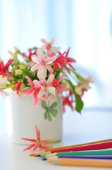 bouquet of Drunen sailordecorated in living room and color