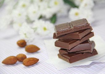 Slices of dark chocolate and nuts