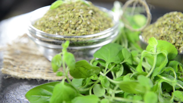 Portion of dry Oregano (loopable)