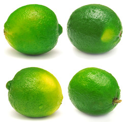Collection of lime