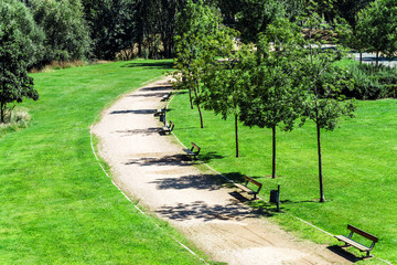 Green grass in city park