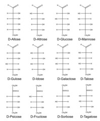 Acyclic basic structural formulas of monosaccharides (hexoses)
