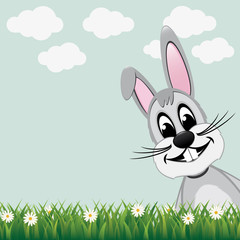 Obraz premium gray bunny look from side daisy meadow