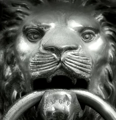 Rolgordijnen snuit leeuw © vali_111