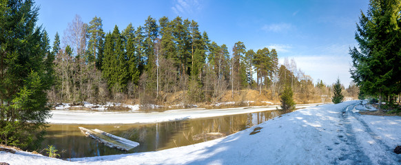 spring landscape with the river and the wood