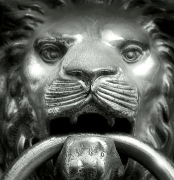 Muzzle lion