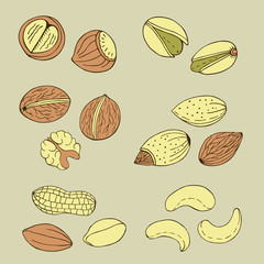 colorful nuts collection