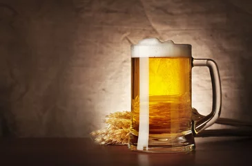 Mug of lager beer with spikelets