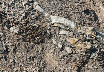 Slate rock pattern, natural mineral background