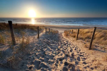 Washable wall murals North sea, Netherlands sunshine over path to beach in North sea