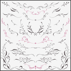 Floral frame & Border Ornaments