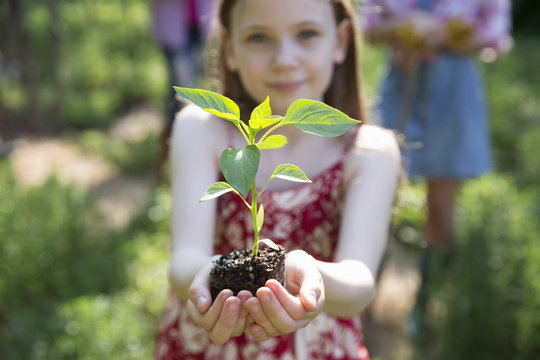 Garden. A Young Girl Holding A Young Plant With Green Foliage And A Healthy Rootball In Her Hands.