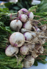 whole turnips