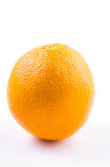 Orange fruit