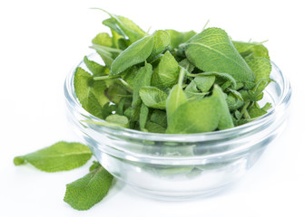 Fresh Sage (isolated on white)