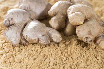 Ginger Powder (close-up shot)