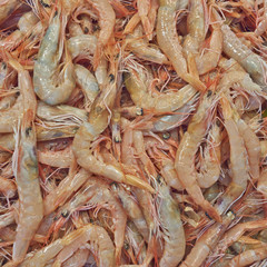 fresh shrimps for sale at the central market
