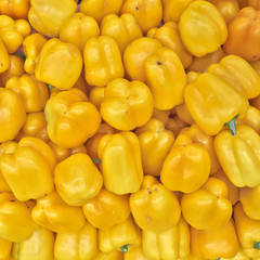 colorful yellow bell peppers for sale, natural background