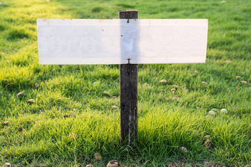 Blank plate on green yard.