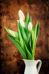 Bouquet of Spring Tulip in a Jug