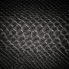 Snake black skin leather texture