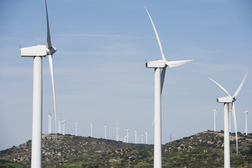 wind energy