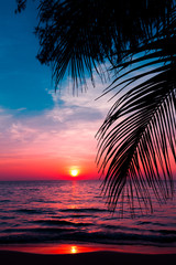 Fototapeta sunset on the beach obraz