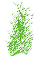 Spring in green  vector