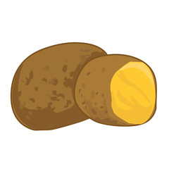 potato isolated illustration