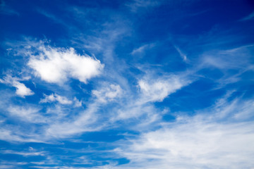 Fototapeta premium background from white clouds in the blue sky