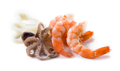 Seafood isolated. Shrimps, octopus; and squid.