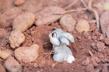 Bunny hiding in a rabbit hole