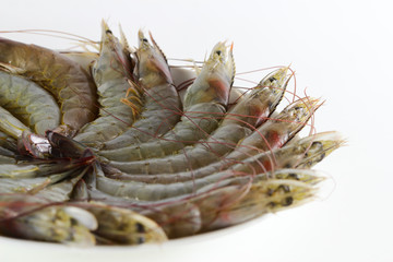 Fresh shrimp