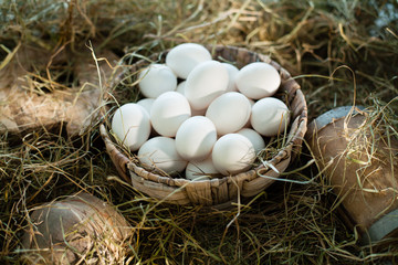 Naklejka na ściany i meble Organic white eggs in nest