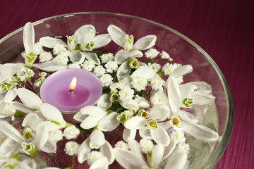 Obraz na płótnie Canvas Beautiful snowdrops and candle in glass bowl with water,