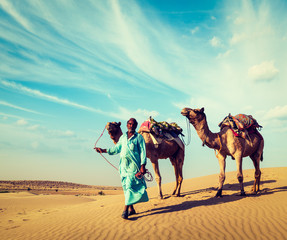 Cameleer with camels in dunes of Thar desert. Raj - obrazy, fototapety, plakaty