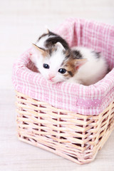 Fototapeta na wymiar Cute little kittens in wicker basket