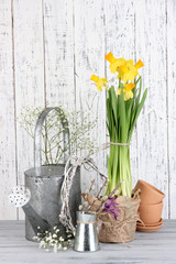 Beautiful spring flowers on old wooden background